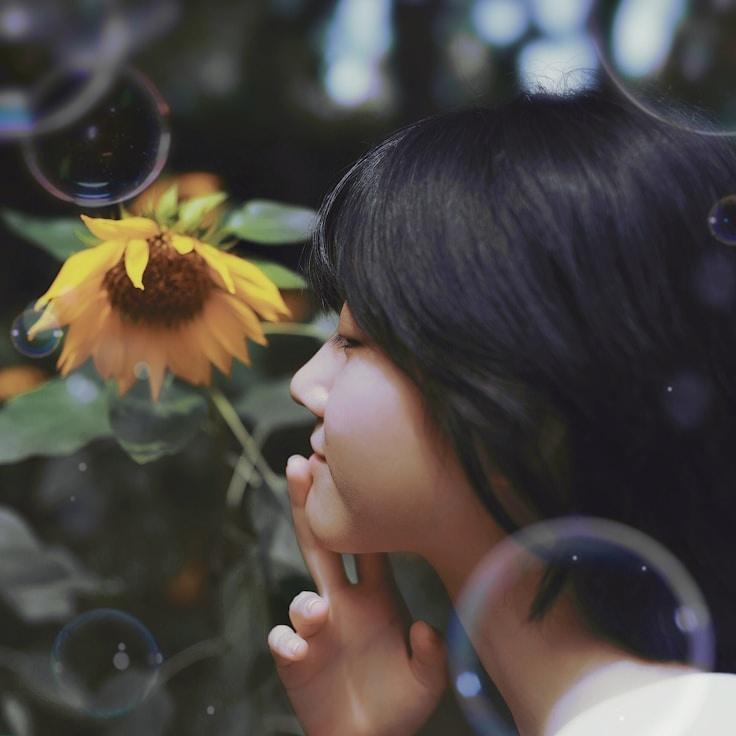 Landscape day trip near Amsterdam, Netherlands